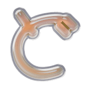 070
