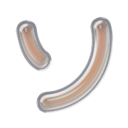 095