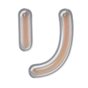 120