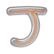 171