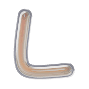 173