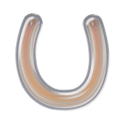 182
