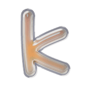 198
