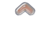 231