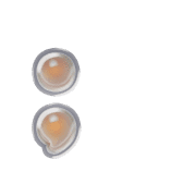243