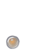 246