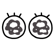 009