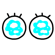 009