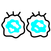 016
