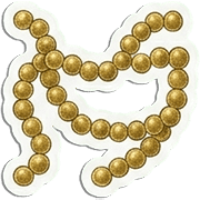 009