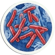 037