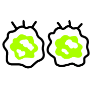 016