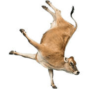 020