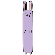 019