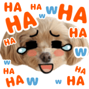 004