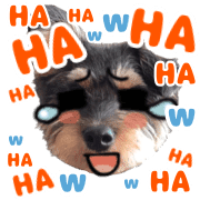 004