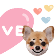 040