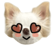 004