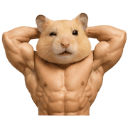 010