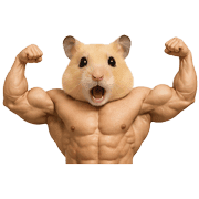 019