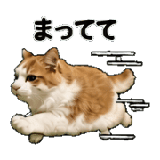 033