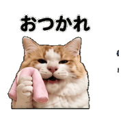 038