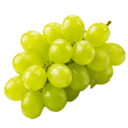 036