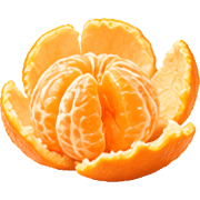 040