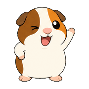 016