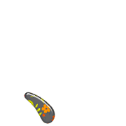 256