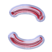 010