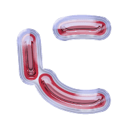 022