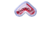 231