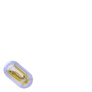 256