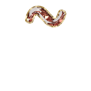 224