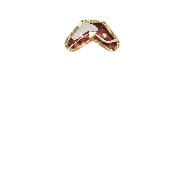 231