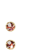244