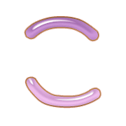 010