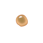 253
