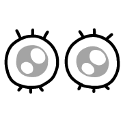 003
