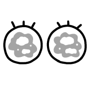 009