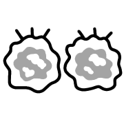 016
