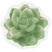 011