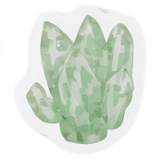 020