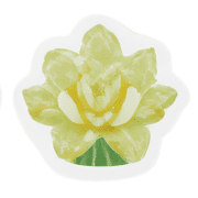 024