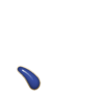 256