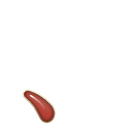 256