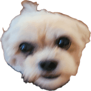 004