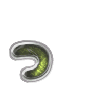 052