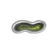 224